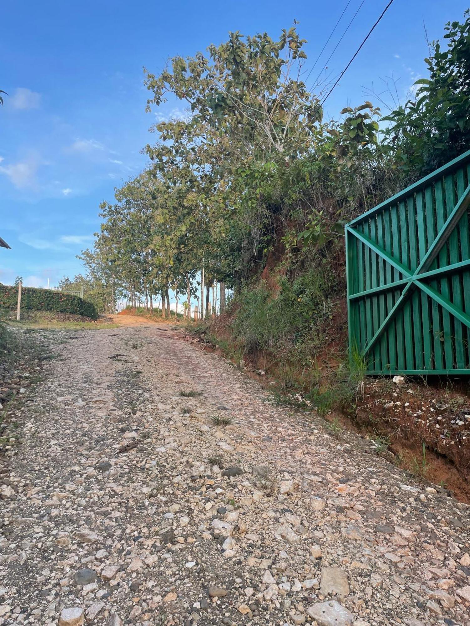Palmar Sur Valles Of Osa מראה חיצוני תמונה